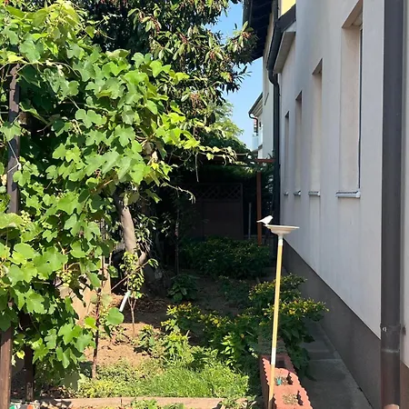 Beautiful House 15 Minutes From Schwechat Airport Leopoldsdorf