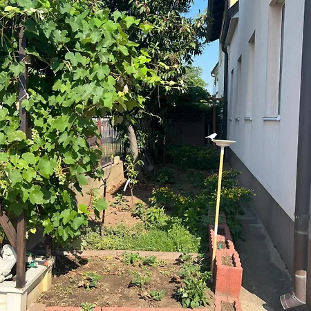 Beautiful House 15 Minutes From Schwechat Airport Holiday home *
