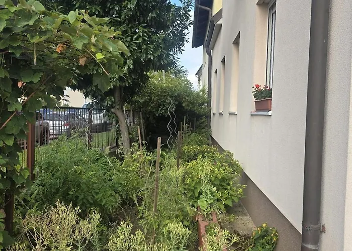 Сasa de vacaciones Beautiful House 15 Minutes From Schwechat Airport *