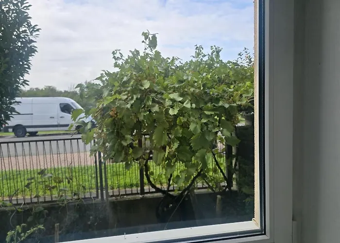 Beautiful House 15 Minutes From Schwechat Airport * Leopoldsdorf