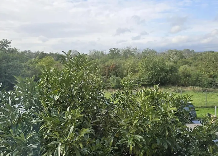 Beautiful House 15 Minutes From Schwechat Airport